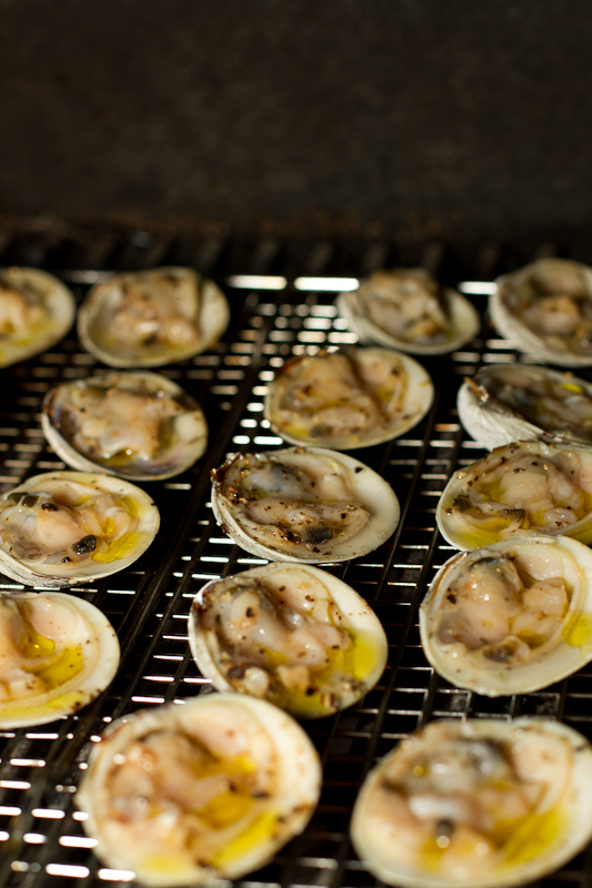 Grilled Clams-9728