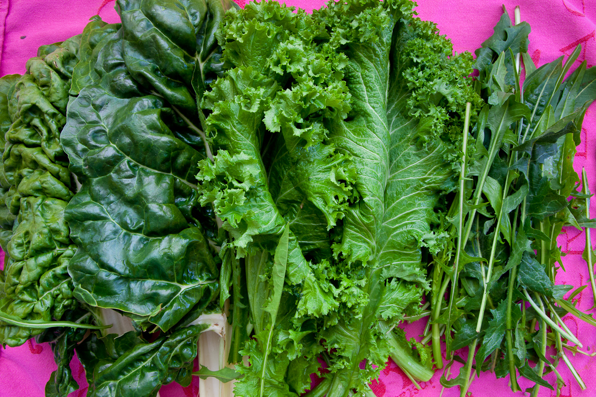 Dandelion and Mustard Green Gnocchi-7111