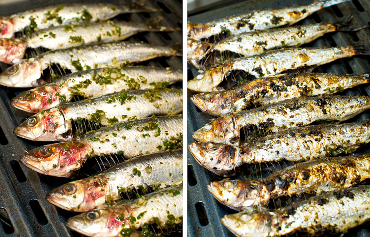 Grilled Sardines 2v - 1