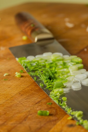Slow Pork with Chow Fun Noodles and Kimchi-17