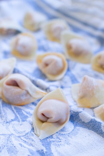 Sweet Potato Wontons with Cashew Sauce-11