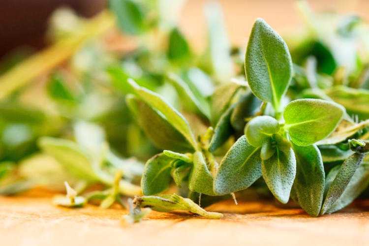 Oliver's Chicken Stew - 67 - 2