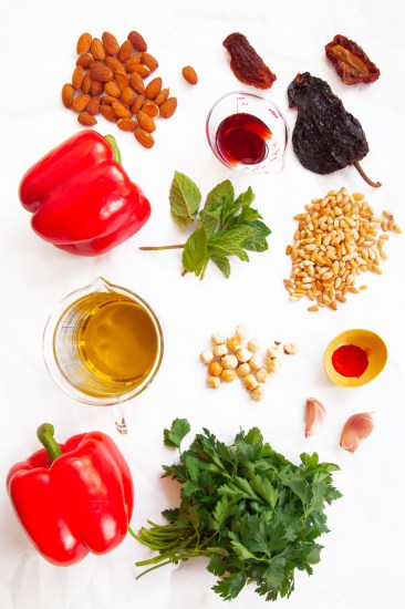 Grilled Spring Onions with Romesco TGF-3