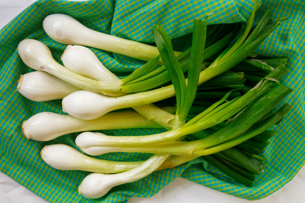 A patio of one’s own – Grilled Spring Onions with Romesco | The Garum ...