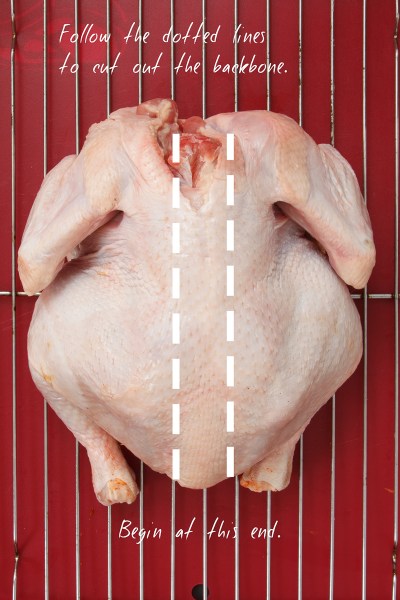 Chicken Under A Brick -3