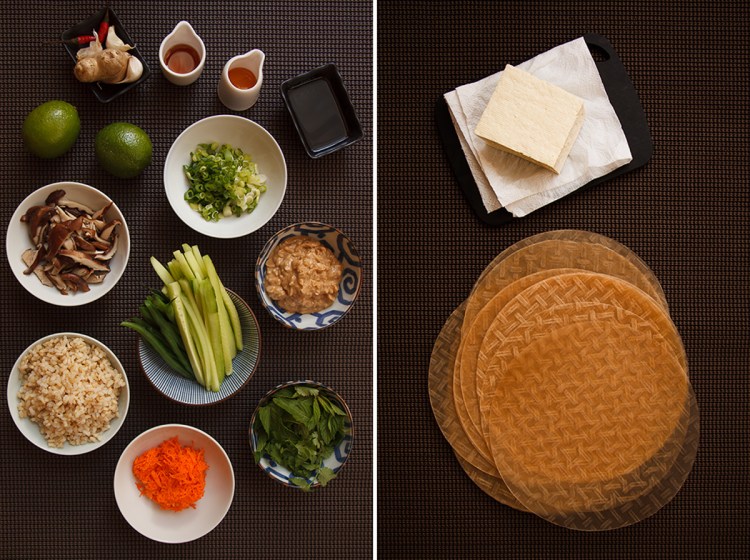 Bicycle Spring Rolls-3