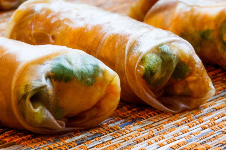 Bicycle Spring Rolls-31