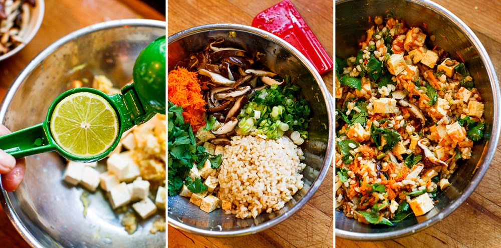 Bicycle Spring Rolls-6