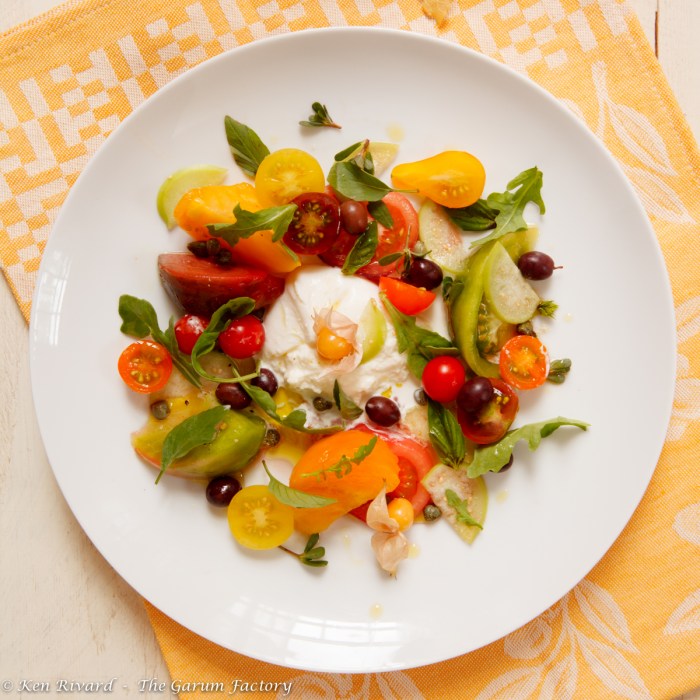 Tomato and Burrata Salad-2