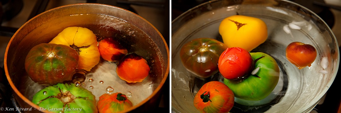 Tomato and Burrata Salad-7