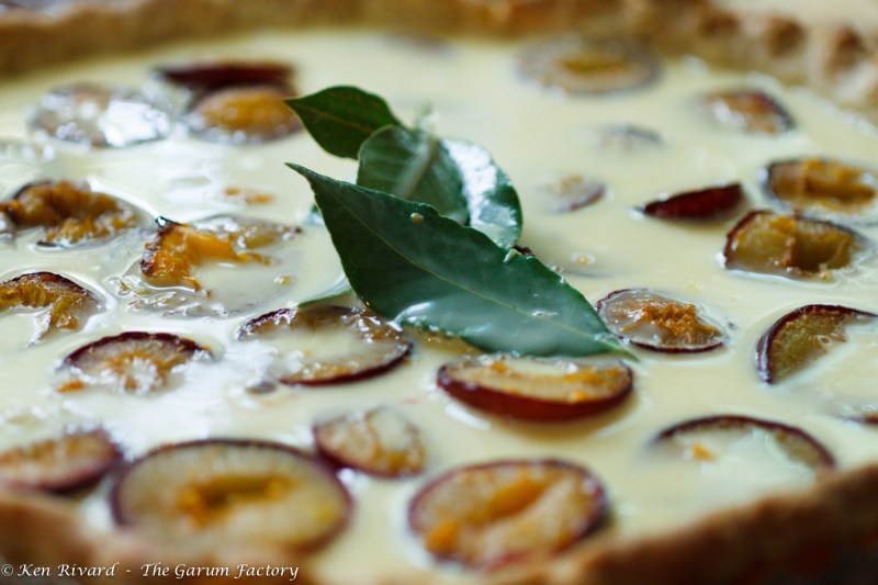 Fig, Plum and Hazelnut Tart-182-8468