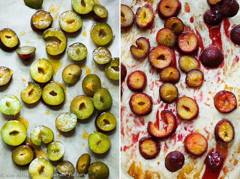 Fig, Plum and Hazelnut Tart 2-2-2