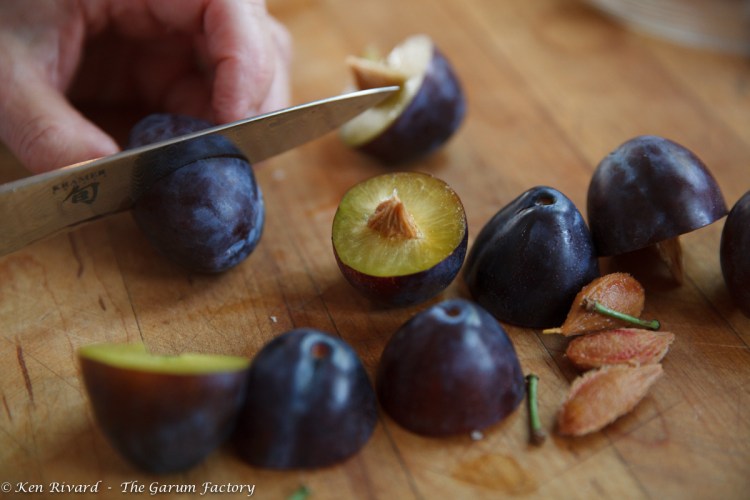 Fig, Plum and Hazelnut Tart-365-8654