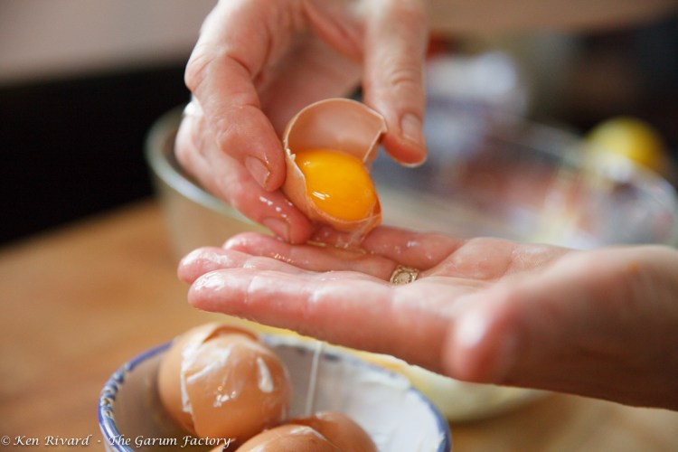 Fig, Plum and Hazelnut Tart-449-8738