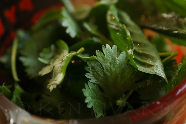 Eggplant, Pepper and Tomato Gratin-2