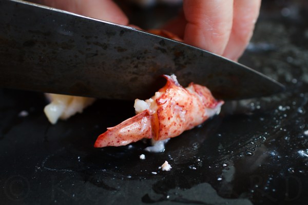 Lobster Stuffy-218-16350