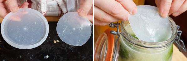 Preserved Lemons 2-2-2