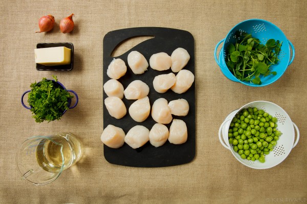 Scallops, peas and chervil-0020