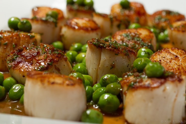 Scallops, peas and chervil-5955