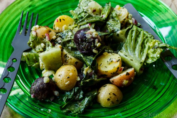 Potato Salad with Wilted Lettuce and Dijon Vinaigrette-0638