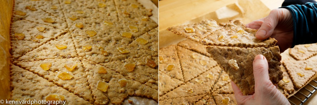 Pecan Ginger Tiles 2-3-2