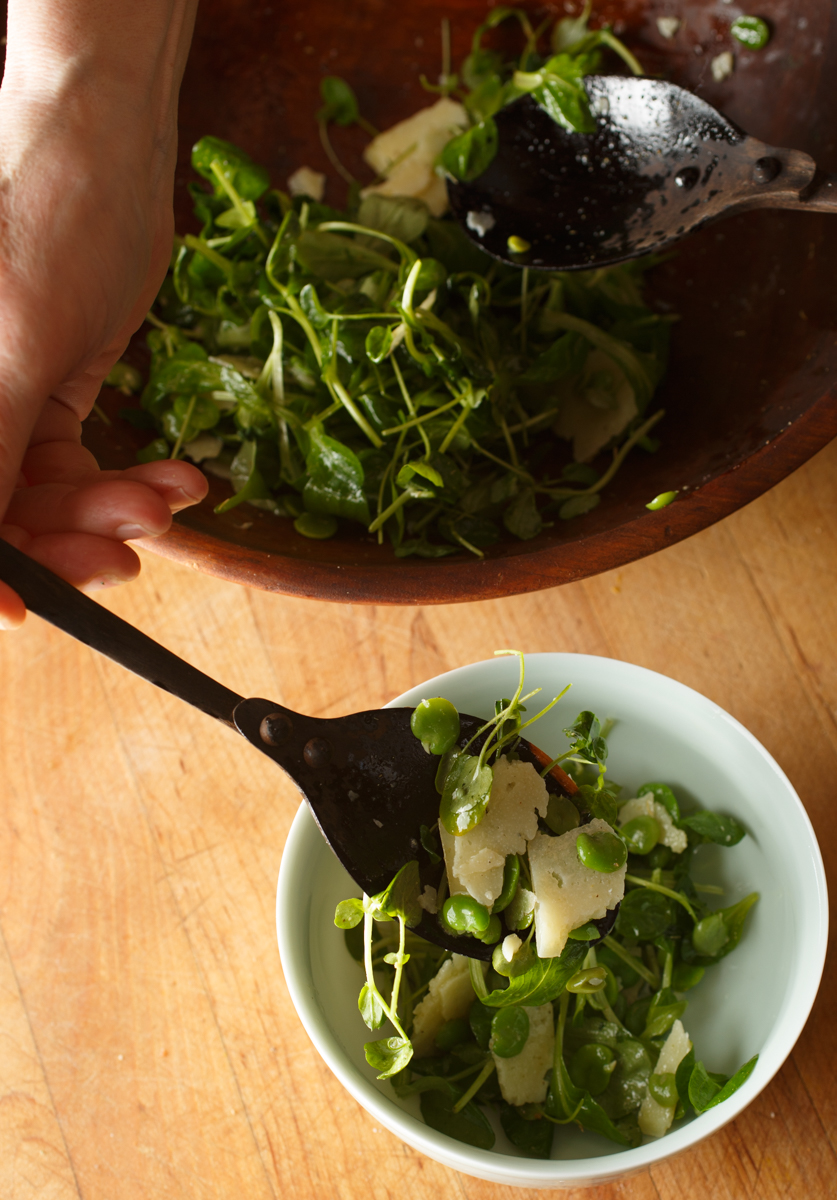 Lazy Man's Fava Salad-9487