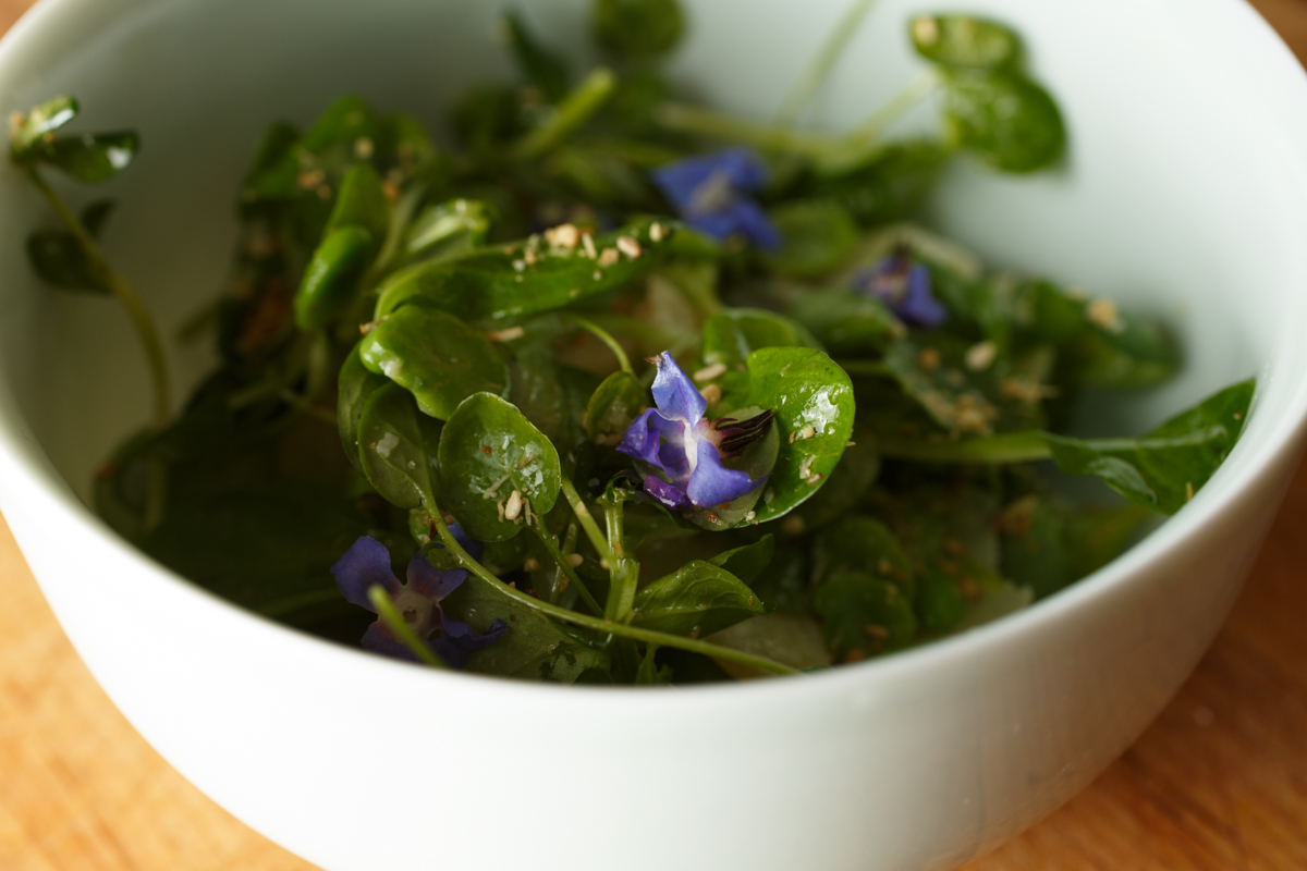 Lazy Man's Fava Salad-9494