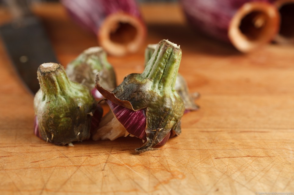 Eggplant with Farro, Ginger and Pomegranate-0546